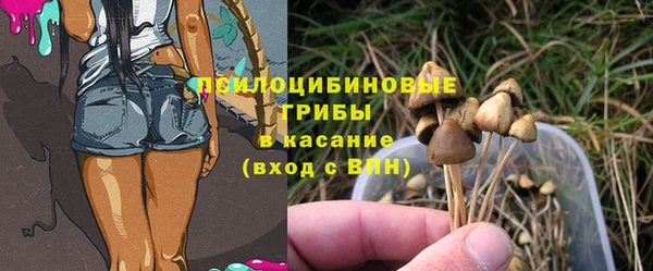 не бодяженный Белокуриха