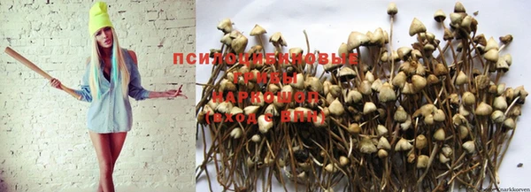 не бодяженный Белокуриха