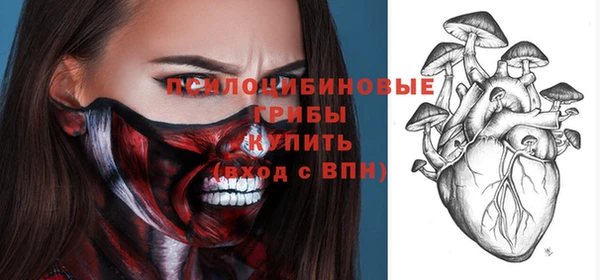не бодяженный Белокуриха