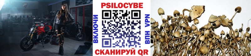 где можно купить наркотик  Кущёвская  Галлюциногенные грибы MAGIC MUSHROOMS 